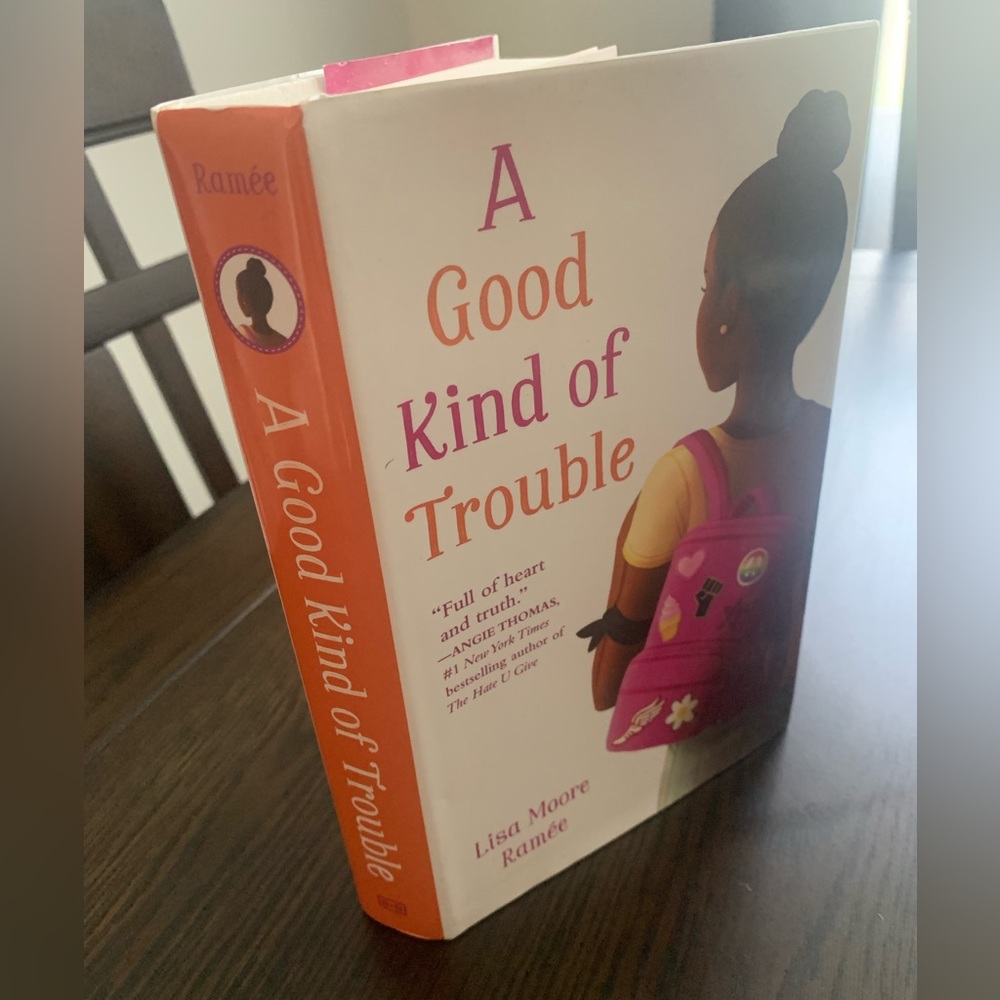 A Good Kind of Trouble Book